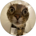 Alona Filipchuk profile picture